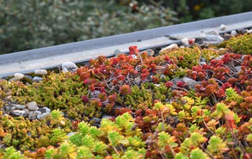 the cost of Passingford Bridge green roof installation