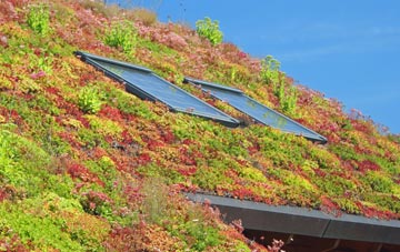 Passingford Bridge living roof systems