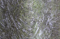 Passingford Bridge fibreglass roof work